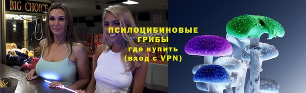 амф Алзамай