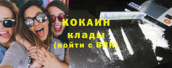 молекула духа Алексин