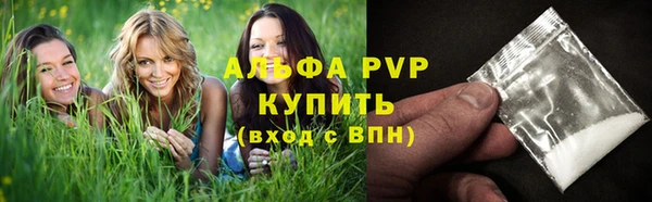молекула духа Алексин
